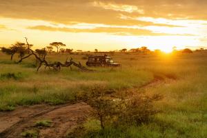 Pumzika Luxury Safari Camp