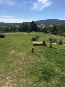 Sejours a la campagne Le Pre des Taupes : photos des chambres