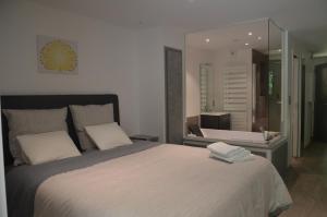 Appartements Wellholidays 19 - studio balneo et terrasse piscine : photos des chambres