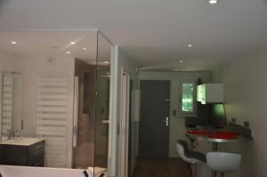 Appartements Wellholidays 19 - studio balneo et terrasse piscine : photos des chambres