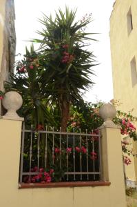 Casa Cabras img36