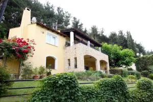 Six Steps From The Forest - Doxato