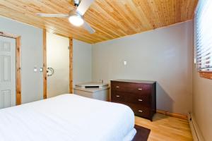 M Lofts