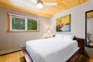 M Lofts