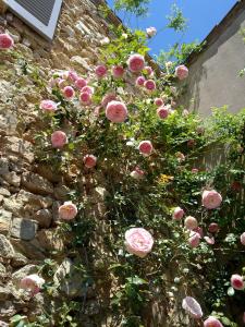 Appartements Mas de la Petite Jeanne : photos des chambres