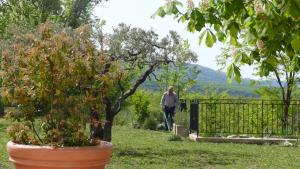 Maisons d'hotes Le Bosquet : photos des chambres