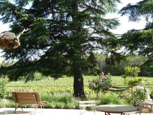 Appartements Les Vignes de Terrisse : photos des chambres