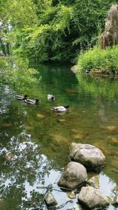 THISTLEDOWN - Ballina - Crossmolina - County Mayo - Sleeps 8 - Sister property to Inglewood