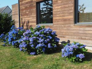 B&B / Chambres d'hotes L'Oustaou du Bodo : photos des chambres