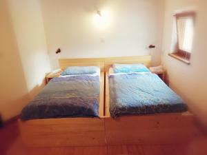 Guest House Turistična kmetija Plaznik 