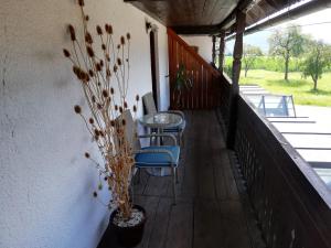 Guest House Turistična kmetija Plaznik 