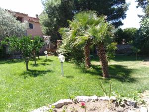 B&B L'amaca della felicità img21