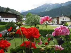 Ferienhaus Ferienhaus Rosa Umhausen Österreich