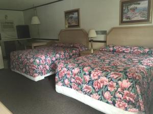 Double Room room in Twin Pine Motel