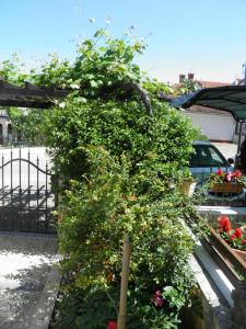 Apartment with Terrace room in Apartment Ksenia
