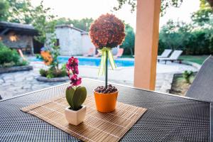 Apartments Angela 1711