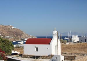 Mykonos Cactus Myconos Greece