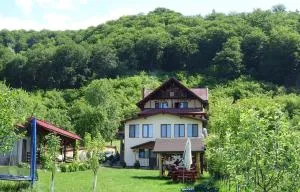 Casa din Salcami - Racovita Cerna