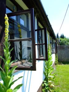 Cottage Chata Pavla Stará Ves Czech Republic