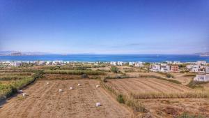 Amfitriti's Apartment Naxos Greece