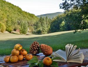 Maisons de vacances Font Neuve : photos des chambres