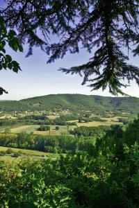 Maisons de vacances Font Neuve : photos des chambres