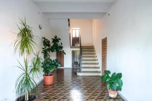 Maison de Vacances