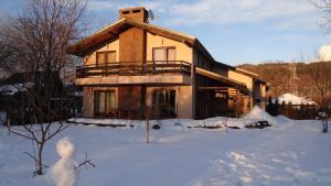 Pensiunea Bamboo - Villa