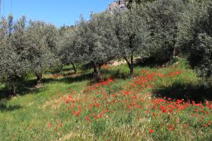 Sejours a la campagne Les Grands Pres des Baronnies : photos des chambres