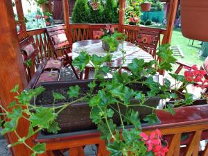 Ubytovanie na Spiši