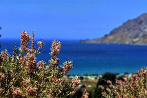 Sun & Sea Apartments Plakias Rethymno Greece