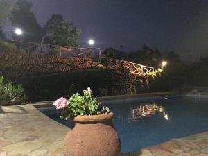 La Dolce Vita Country House with pool - Solicchiata