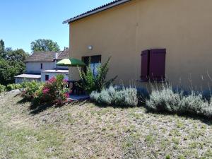 Les Vignes