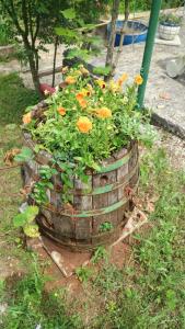 Rooms and Apartments V&M 