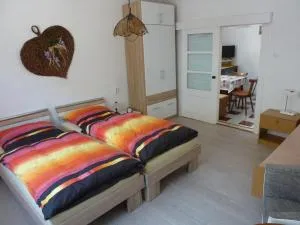 Schöne, gemütliche Wohnung - Goldisthal