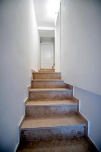 Apartment CA’ 1620 - Rosa selvatica