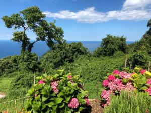 Eva's House Mouresi Pelion Greece