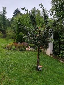 Guest House Balkanski Kat