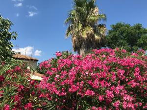 Maisons de vacances Mer Havre de Paix : photos des chambres