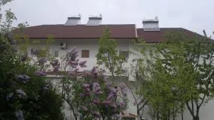 vila Alanya - 南埃福列