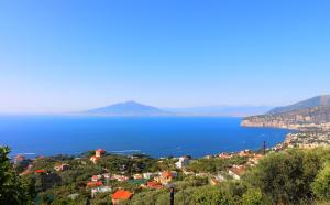 La Rosa Del Sud - De Vivo Realty Sorrento