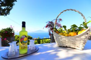 La Rosa Del Sud - De Vivo Realty Sorrento