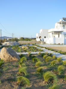 Villa Penelope Naxos Greece