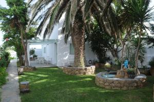 Crisio Studios Skyros Greece