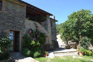 Pension B&B Il Palazzo Sansepolcro Italien