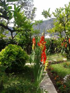 Kotor Kelly Apartments