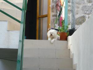 Cosy accommodation in the center of Split