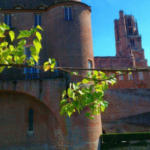 Maisons d'hotes Chateau Labistoul : photos des chambres