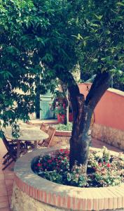 Santa Lucia B&B