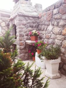 Rooms Verda 